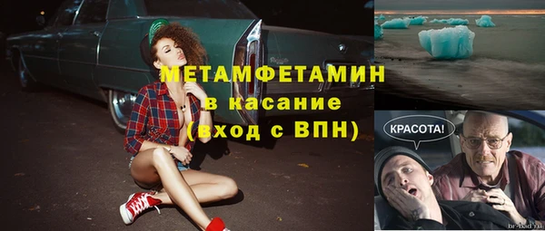 гидра Инсар