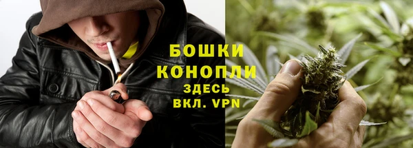 ГАЛЛЮЦИНОГЕННЫЕ ГРИБЫ Каменногорск