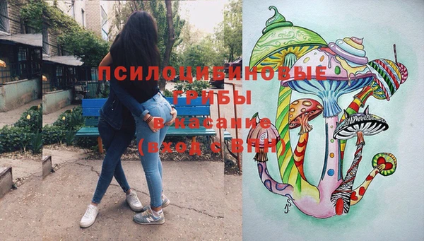 кристаллы Инта