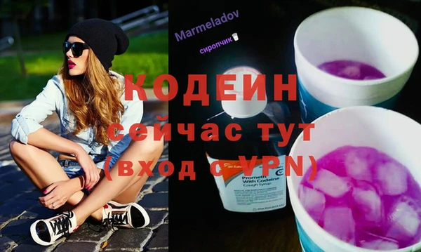 гидра Инсар