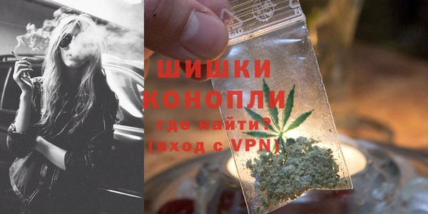 гидра Инсар