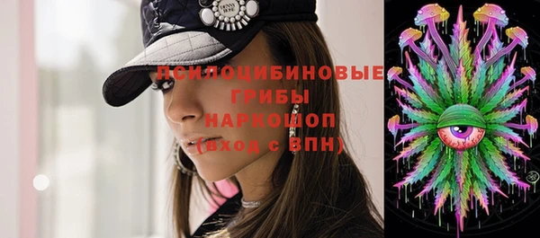 гидра Инсар