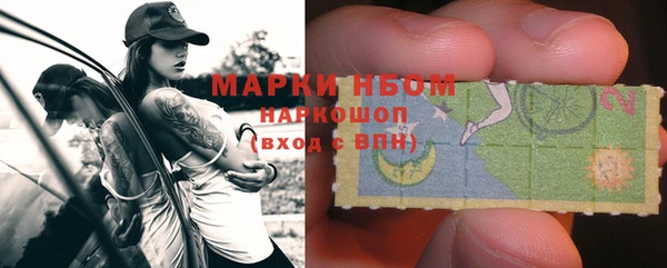 гидра Инсар