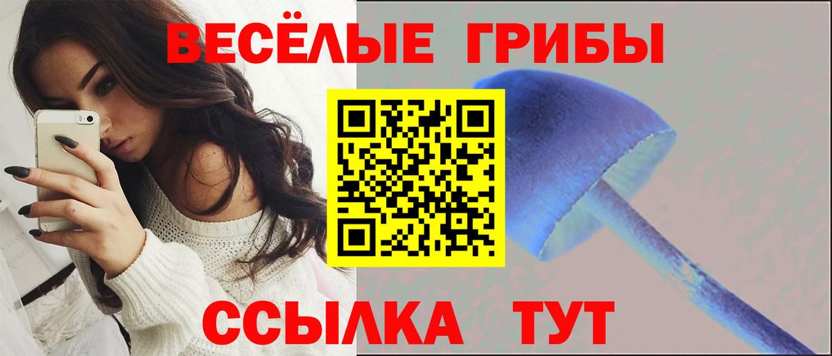 Рыбинск  Галлюциногенные грибы Cubensis  Галлюциногенные грибы Psilocybine cubensis  Вход с VPN 